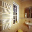 ����������������� Zehnder Yucca Star